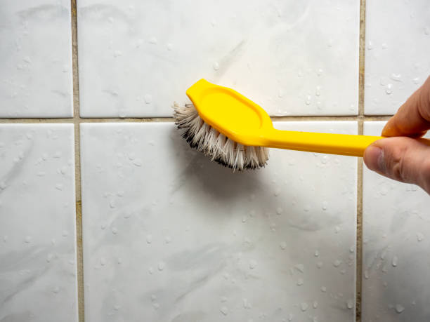 Best Attic Mold Removal  in Noroton Heights, CT