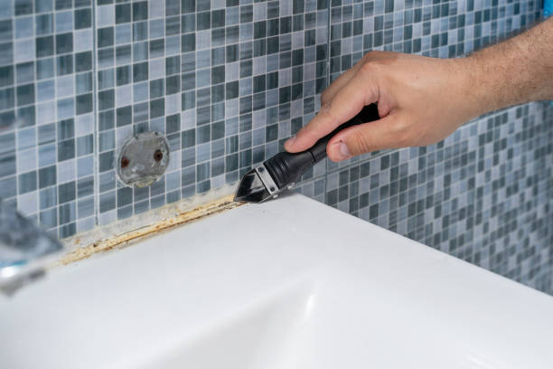 Best Mold Testing  in Noroton Heights, CT